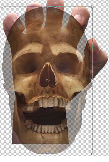 Placing the skull over the hand