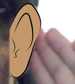 Finished Ear Vector